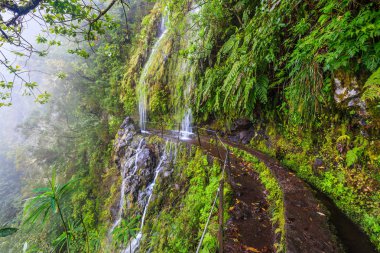 Levada Madeira, Portekiz Dağları boyunca yürüyüş yolu üzerinde yağmurlu bir günde düşen Şelalesi