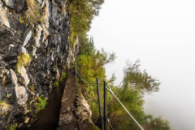 Levada Madeira, Portekiz dağlara yağmurlu bir sisli gün boyunca bir yürüyüş yolu yanındaki sarp uçurum