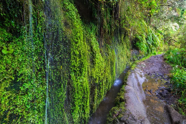 ポルトガル マデイラ島に Levada に陥る岩に沿って滝 — ストック写真