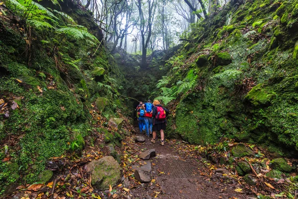 Escursionisti Che Entrano Tunnel Attraverso Una Montagna Una Foresta Sull — Foto Stock