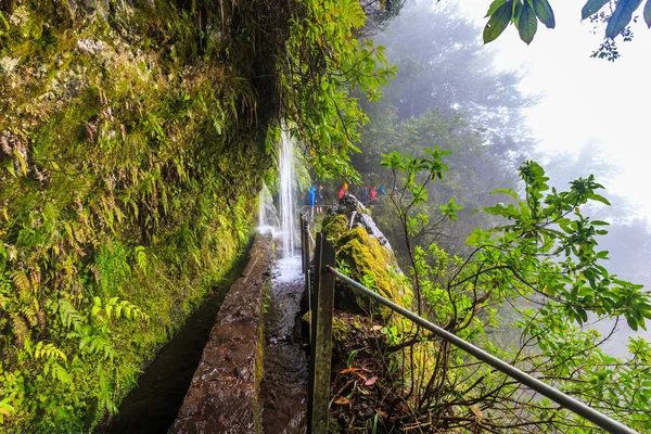 雨の日に ポルトガルのマデイラ諸島の山地の Levada に沿って遊歩道に落ちる滝 — ストック写真