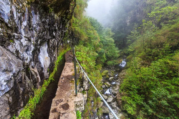 Floden Flyter Längs Leden Levada Bergen Madeira Dimmig Regnig Dag — Stockfoto