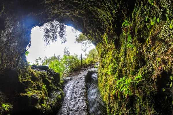 Öppning Tunnel Längs Vandringsled Levada Madeira Portugal — Stockfoto
