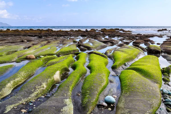 Water Carved Rocks Algea Coastline Ocean Indonesia — Stock Photo, Image