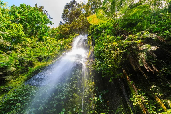 Garen Netten Waterval Indonesische Eiland Lombok Zonnige Dag — Stockfoto