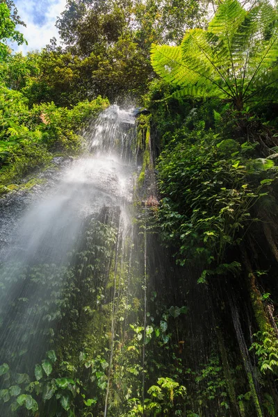 Garn Garn Vattenfall Indonesiska Lombok Solig Dag — Stockfoto