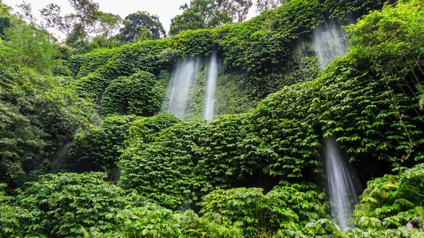 インドネシアに Benang Kelambu 滝島ロンボク島曇りの日で — ストック写真