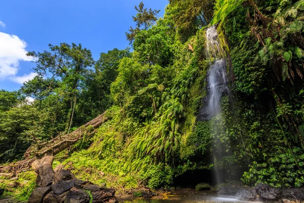 在阳光明媚的日子 印度尼西亚岛上的纱网瀑布 图库照片