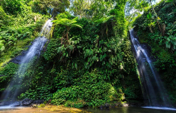 Fio Nets Cachoeira Ilha Indonésia Lombok Dia Ensolarado Imagens Royalty-Free