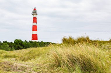 Kuzey Denizi, Ameland, Hollanda 'daki bir adanın kırsal kesiminde kırmızı ve beyaz deniz feneri