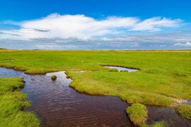 Kuzey Denizi, Ameland, Hollanda 'da bir adada çimenli bir çayır manzarası