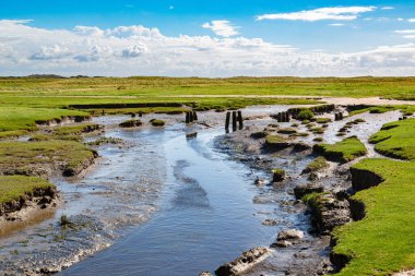 Kuzey Denizi, Ameland, Hollanda 'da bir adada çimenli bir çayır manzarası