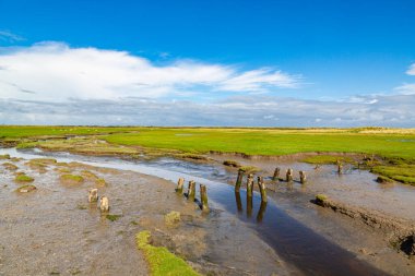 Kuzey Denizi, Ameland, Hollanda 'da bir adada çimenli bir çayır manzarası