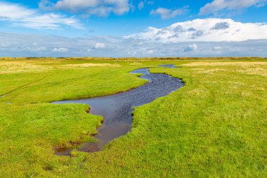 Kuzey Denizi, Ameland, Hollanda 'da bir adada çimenli bir çayır manzarası