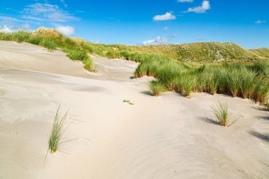 Gökyüzünde bulutlar olan güneşli bir günde, yeşil bir vadide, deniz kenarındaki kum tepesinden manzara