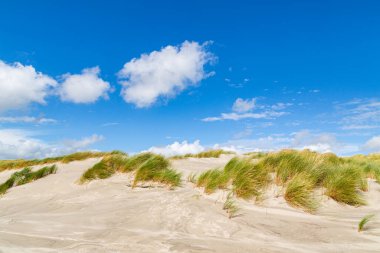 Gökyüzünde bulutlar olan güneşli bir günde, yeşil bir vadide, deniz kenarındaki kum tepesinden manzara