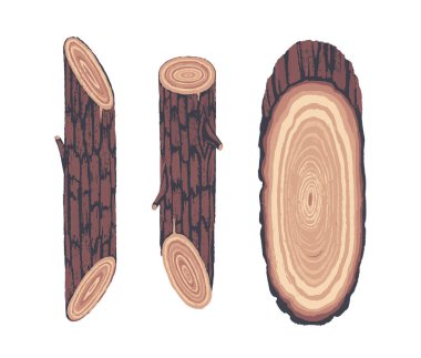 Ahşap dekoratif öğeler. Botanik illüstrasyonlar. Vektör küçük resim.