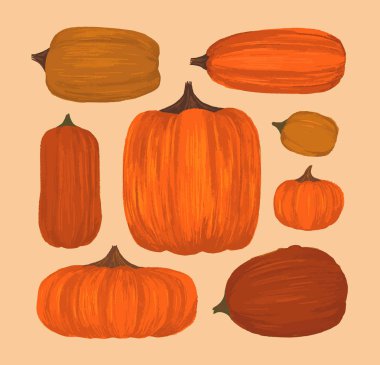 Farklı kabaklar şekiller. Cadılar Bayramı dekorasyon çizilmiş. Vektör çizim.