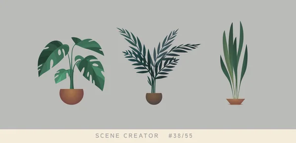 Rostliny Izolované Objekty Interiérové Scény Creator Sada — Stockový vektor