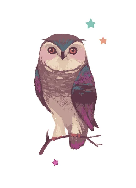 Cute Owl Bird Vector Illustration — Stock Vector