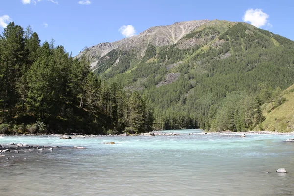 Russia Altai Republic Lake Kucherla — Stock Photo, Image