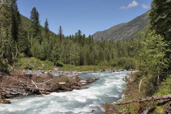 Rusya, Altay Cumhuriyeti: nehir Kucherla
