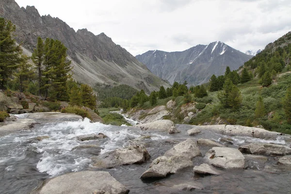 Rosja Altai Republic Rzeka Góry — Zdjęcie stockowe