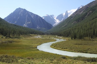 Rusya, Altay Cumhuriyeti: dağ orman