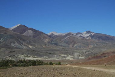 Rusya, Altay Cumhuriyeti: bozkır