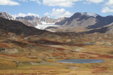 Rusya, Altay Cumhuriyeti: dağ tundra