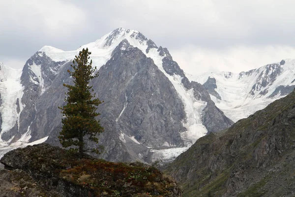 Rosja Altai Republic Wysokogórskie — Zdjęcie stockowe