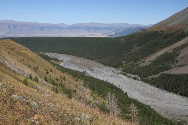 Ryssland Altai Republiken Foothill — Stockfoto