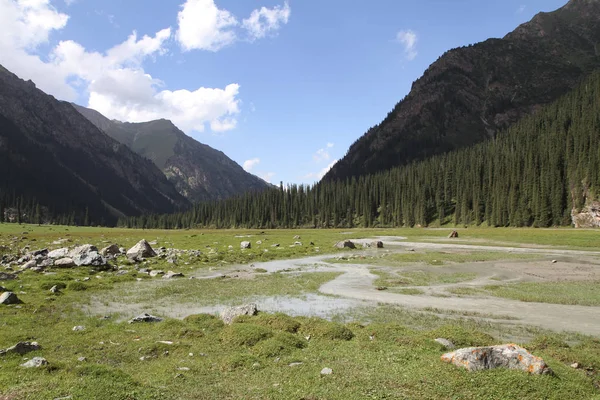 Kırgızistan: Karakol Nehri