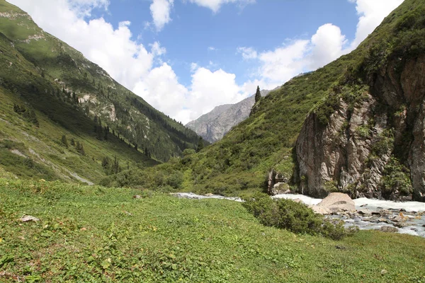 Kırgızistan Karakol Nehri — Stok fotoğraf