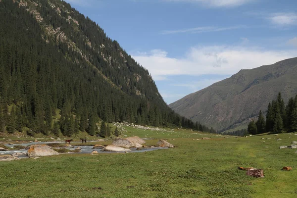 Kirgizistan Mountain River — Stockfoto