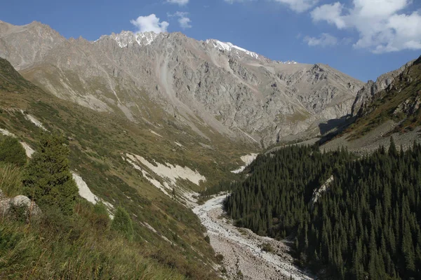 吉尔吉斯斯坦共和国 Archa 国家公园 — 图库照片