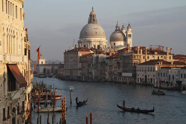 Italie Venise Basilique Santa Maria Della Salute — Photo