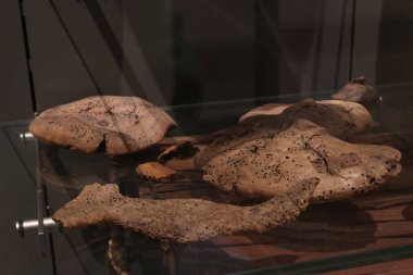 İtalya, Turin: Museo Egizio