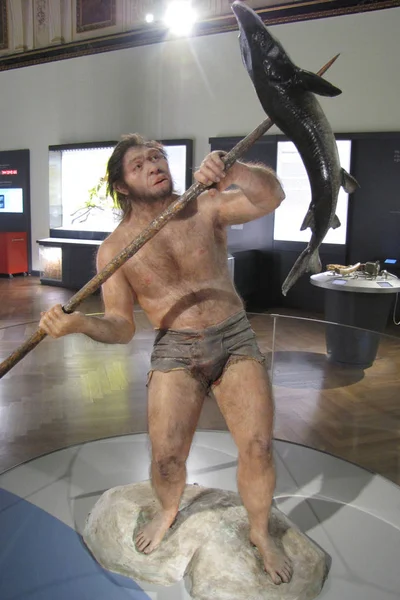 Neandertalczyka Austria Wiedeń Muzeum Historii Naturalnej — Zdjęcie stockowe