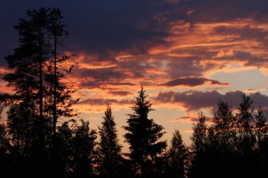 Rusya, Vologda bölgesi: gün batımı