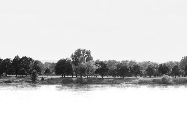 Abstract shot of a skyline in nature — Stock Photo, Image