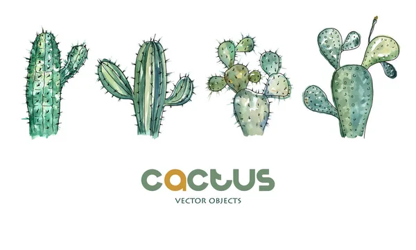 Illustrazione Vettoriale Collezione Cactus Penna Disegno Con Sfondo Stile Acquerello — Vettoriale Stock