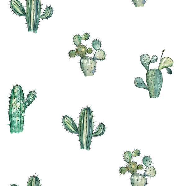 Ilustracja Wektorowa Kolekcja Kaktusów Rysunek Tła Akwarela Styl Pióra Element — Wektor stockowy