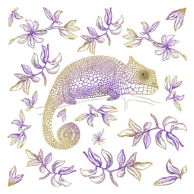 Vektör çizim. Kart tasarımı. Bukalemun yaprakları arasında.