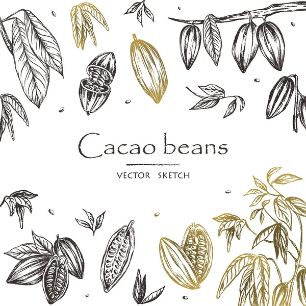 Ilustracja Wektorowa Naszkicowanych Ręcznie Rysowane Ziaren Kakaowca Drzewa Kakaowego Liści — Wektor stockowy