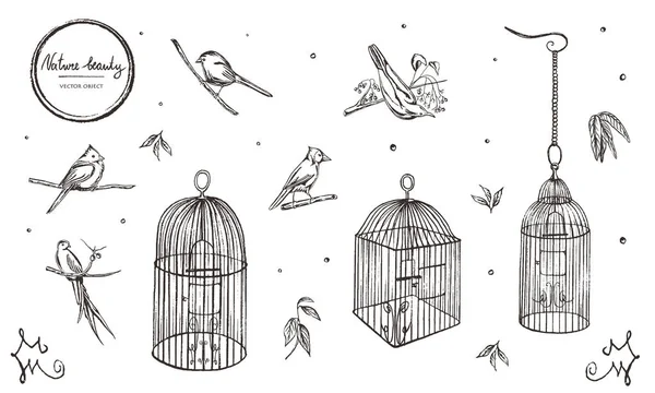 Vektör Çizim Stil Vektör Kümesi Tebeşir Kuşlar Kafesleri — Stok Vektör