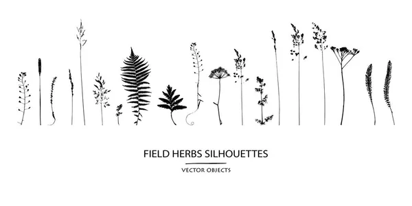 ベクター シルエット コレクション 野の花 ハーブのセット — ストックベクタ