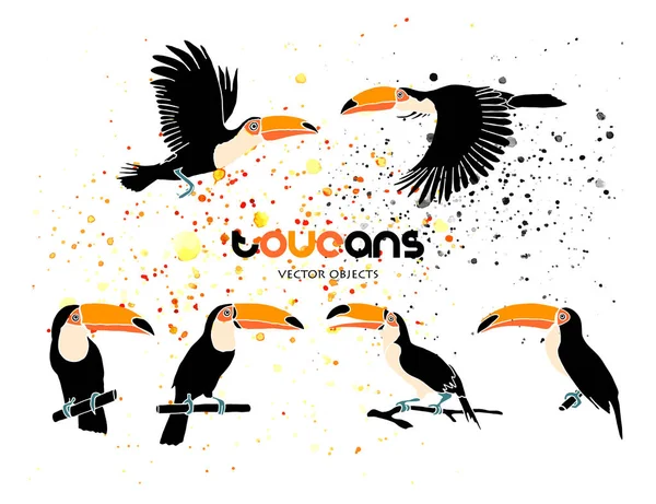 Ilustración Vectorial Toucans Listos Objetos Vectoriales — Vector de stock