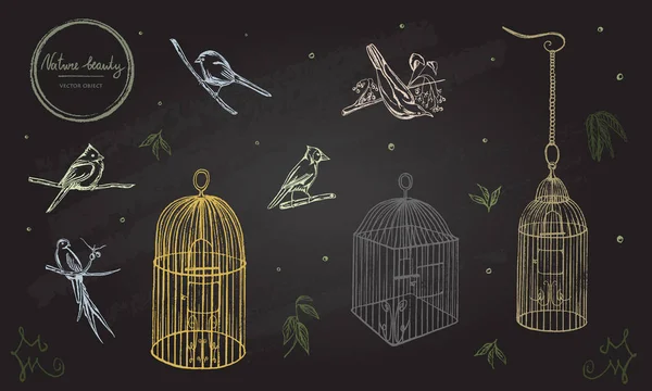 Vektorillustration Kreide Vektor Set Vögel Und Käfige — Stockvektor