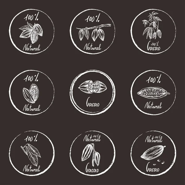 Vektorillustration Gestaltungselemente Mit Ökoprint Skizzierte Handgezeichnete Kakaobohnen Blätter Und Äste — Stockvektor